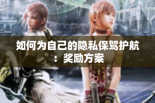 如何为自己的隐私保驾护航：奖励方案