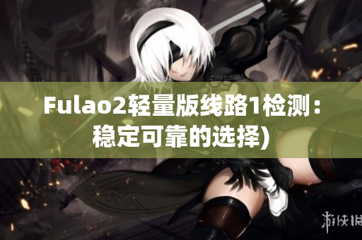 Fulao2轻量版线路1检测：稳定可靠的选择)