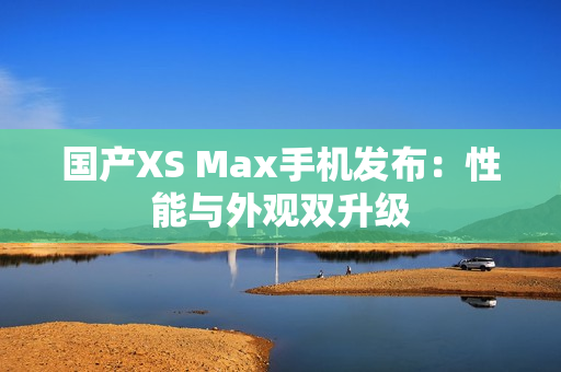 国产XS Max手机发布：性能与外观双升级