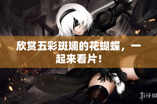 欣赏五彩斑斓的花蝴蝶，一起来看片！
