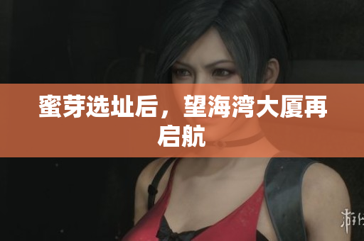 蜜芽选址后，望海湾大厦再启航
