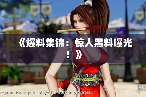 《爆料集锦：惊人黑料曝光！》