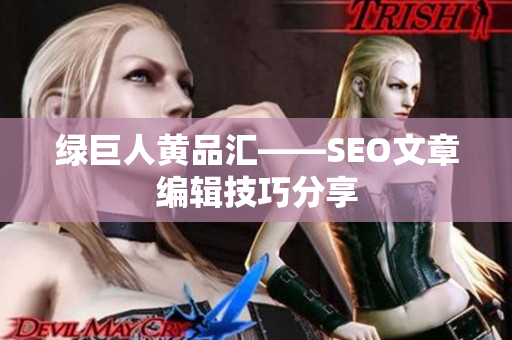 绿巨人黄品汇——SEO文章编辑技巧分享