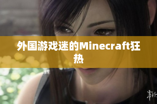 外国游戏迷的Minecraft狂热