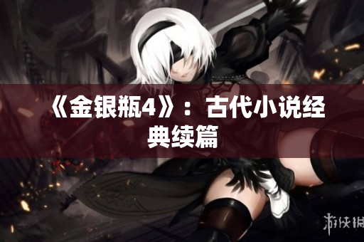 《金银瓶4》：古代小说经典续篇