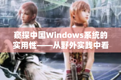 窥探中国Windows系统的实用性——从野外实践中看到了什么
