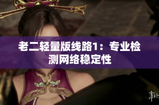 老二轻量版线路1：专业检测网络稳定性