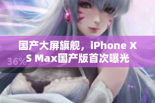 国产大屏旗舰，iPhone XS Max国产版首次曝光