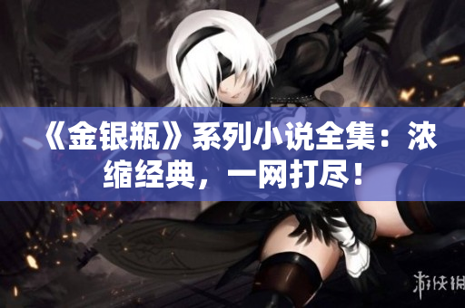 《金银瓶》系列小说全集：浓缩经典，一网打尽！