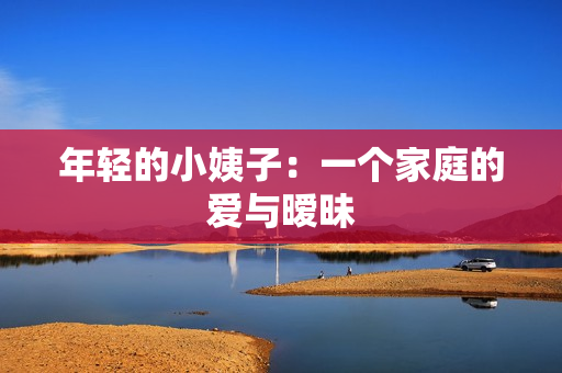 年轻的小姨子：一个家庭的爱与暧昧