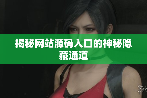 揭秘网站源码入口的神秘隐藏通道