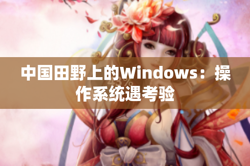 中国田野上的Windows：操作系统遇考验