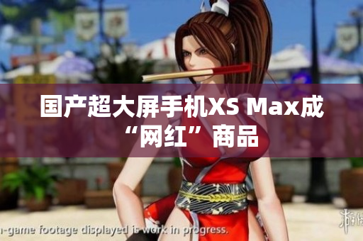 国产超大屏手机XS Max成“网红”商品