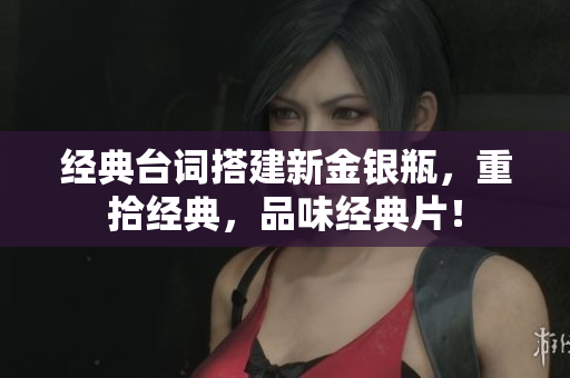 经典台词搭建新金银瓶，重拾经典，品味经典片！