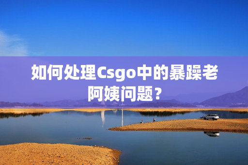 如何处理Csgo中的暴躁老阿姨问题？