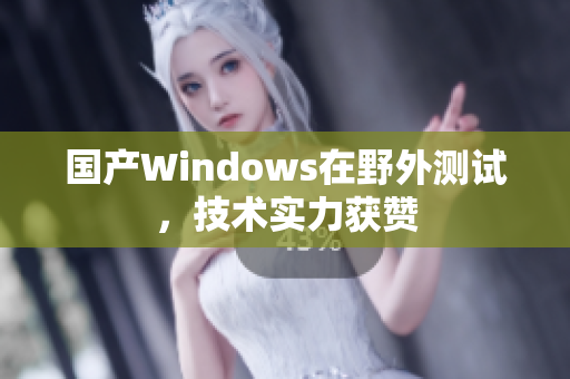 国产Windows在野外测试，技术实力获赞