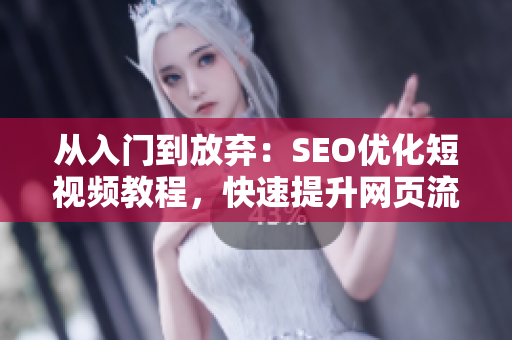 从入门到放弃：SEO优化短视频教程，快速提升网页流量！