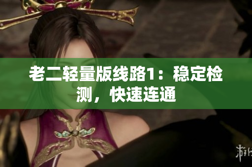 老二轻量版线路1：稳定检测，快速连通