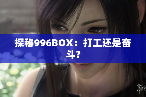 探秘996BOX：打工还是奋斗？