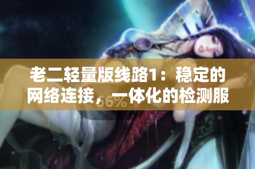 老二轻量版线路1：稳定的网络连接，一体化的检测服务