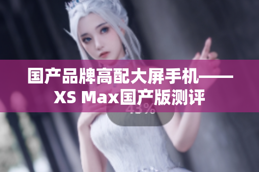 国产品牌高配大屏手机——XS Max国产版测评