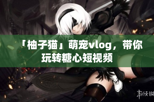 「柚子猫」萌宠vlog，带你玩转糖心短视频