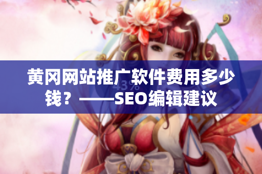 黄冈网站推广软件费用多少钱？——SEO编辑建议