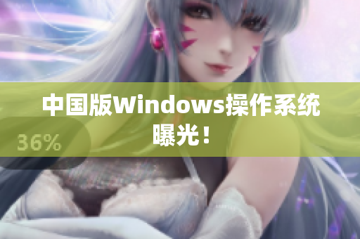 中国版Windows操作系统曝光！
