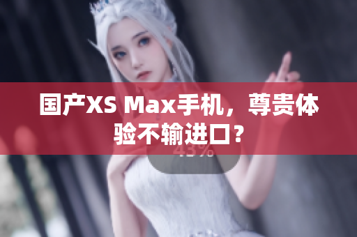 国产XS Max手机，尊贵体验不输进口？