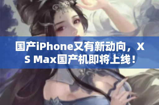 国产iPhone又有新动向，XS Max国产机即将上线！