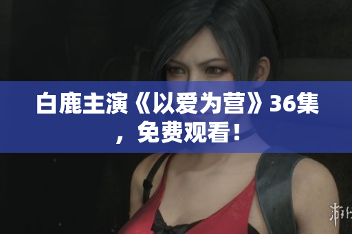 白鹿主演《以爱为营》36集，免费观看！