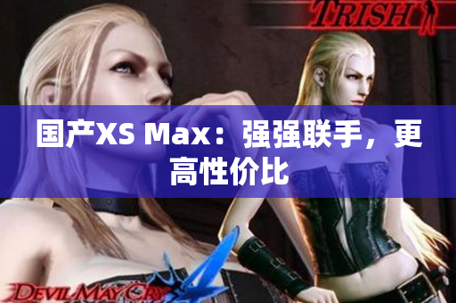 国产XS Max：强强联手，更高性价比