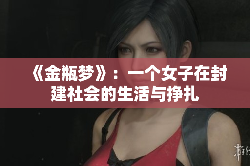 《金瓶梦》：一个女子在封建社会的生活与挣扎