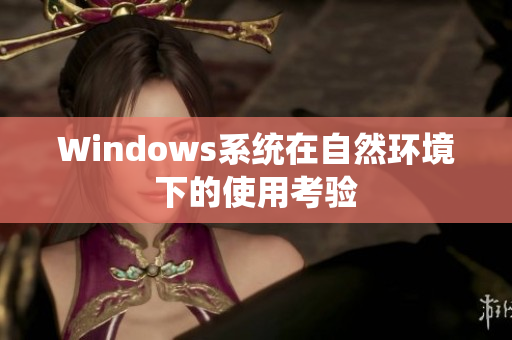 Windows系统在自然环境下的使用考验
