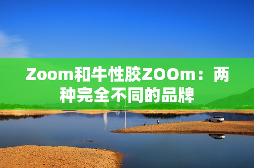 Zoom和牛性胶ZOOm：两种完全不同的品牌