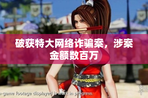 破获特大网络诈骗案，涉案金额数百万