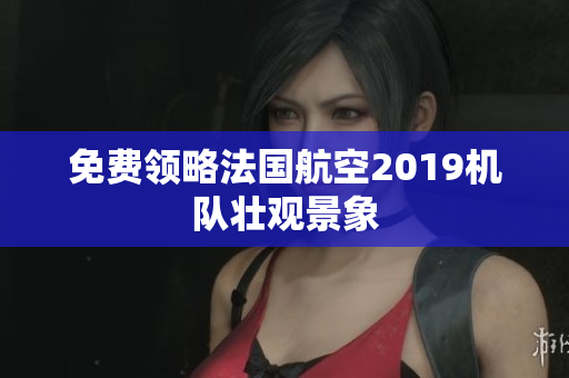 免费领略法国航空2019机队壮观景象