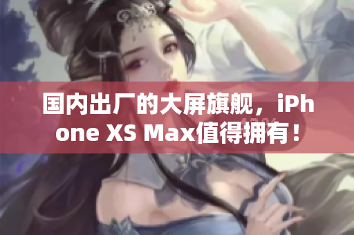 国内出厂的大屏旗舰，iPhone XS Max值得拥有！