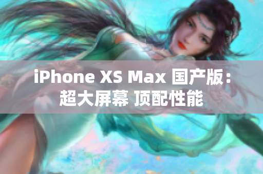 iPhone XS Max 国产版：超大屏幕 顶配性能
