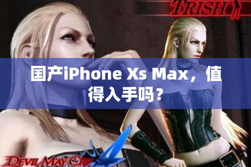 国产iPhone Xs Max，值得入手吗？