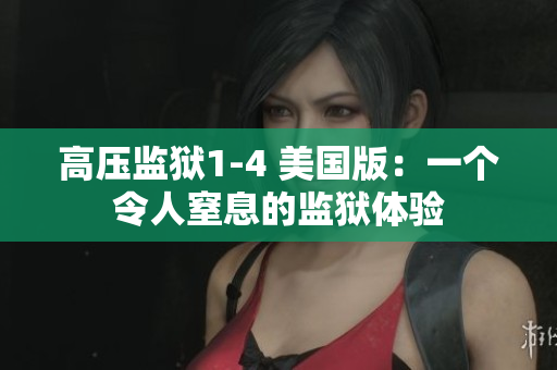 高压监狱1-4 美国版：一个令人窒息的监狱体验