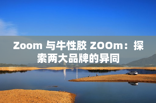 Zoom 与牛性胶 ZOOm：探索两大品牌的异同