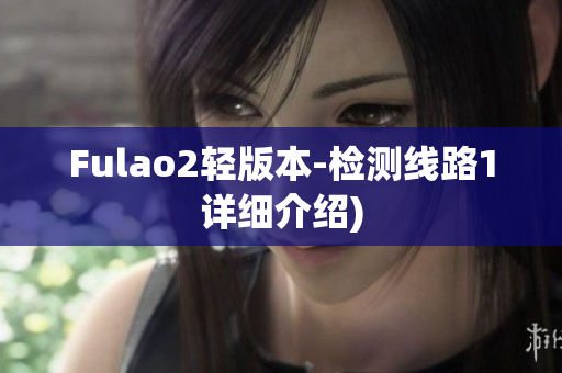 Fulao2轻版本-检测线路1详细介绍)