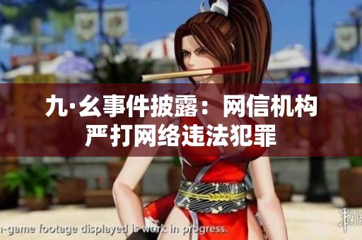 九·幺事件披露：网信机构严打网络违法犯罪