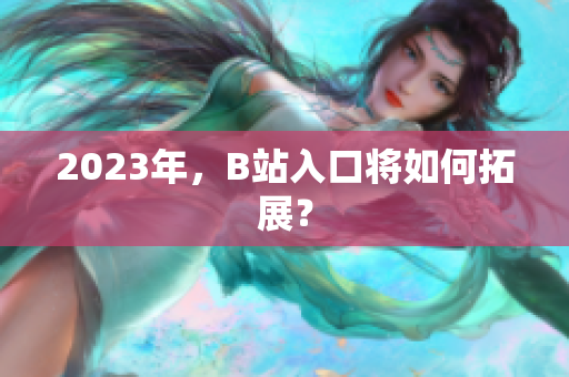 2023年，B站入口将如何拓展？