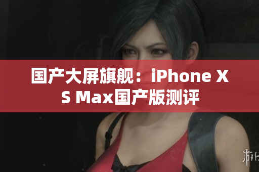 国产大屏旗舰：iPhone XS Max国产版测评