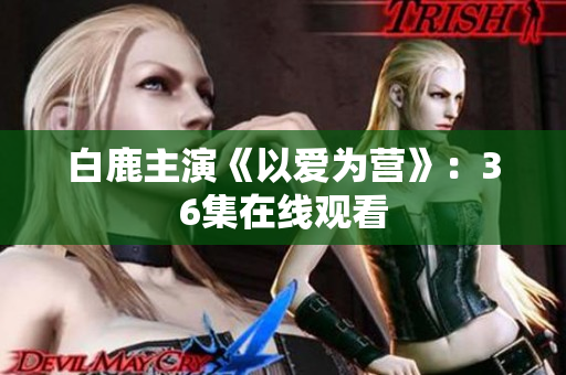 白鹿主演《以爱为营》：36集在线观看