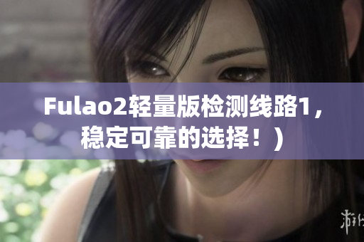 Fulao2轻量版检测线路1，稳定可靠的选择！)