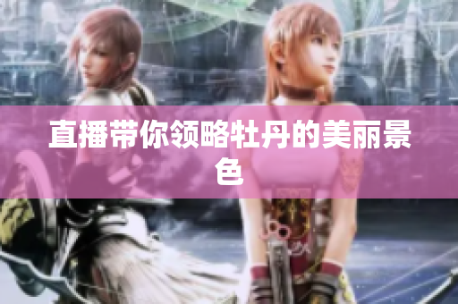 直播带你领略牡丹的美丽景色