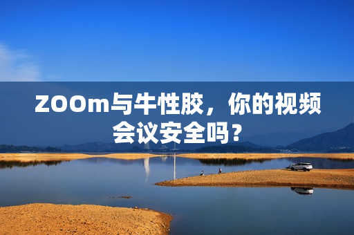 ZOOm与牛性胶，你的视频会议安全吗？